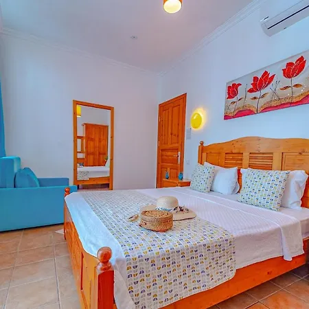 Turkuaz ホームステイ *