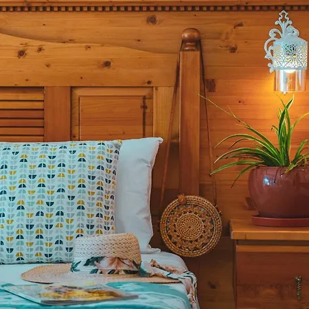 ホームステイ Turkuaz *