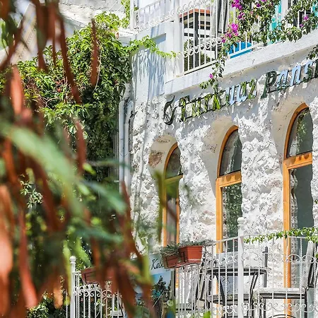 Turkuaz * カルカン