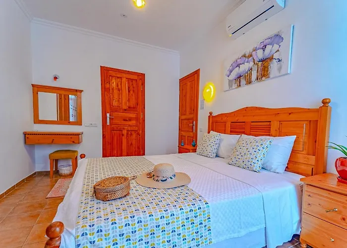 Turkuaz Проживание в семье