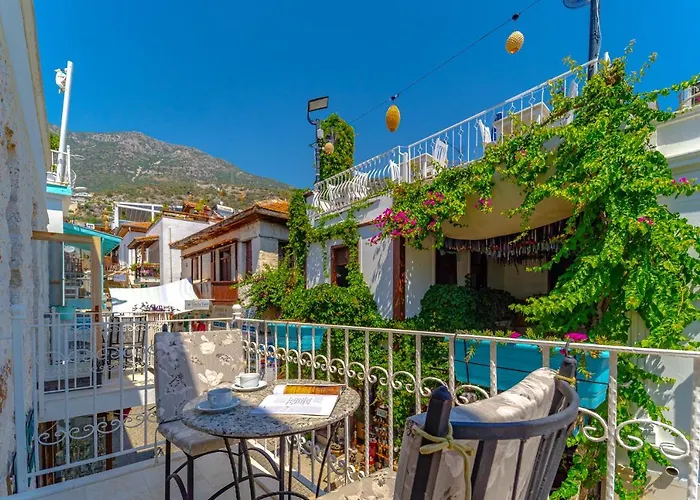 Turkuaz Séjour chez l'habitant *